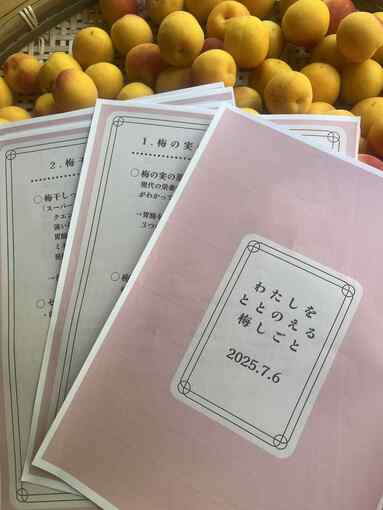 梅狩り&梅しごと&梅ごはん