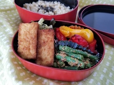 GOMIGOSYOKU（五味五色）弁当 vol.1