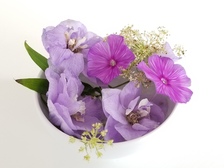 メールマガジン「天女便りNO.5（2020年大暑）」を配信しました。