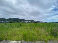 真夏の淡路島へ！