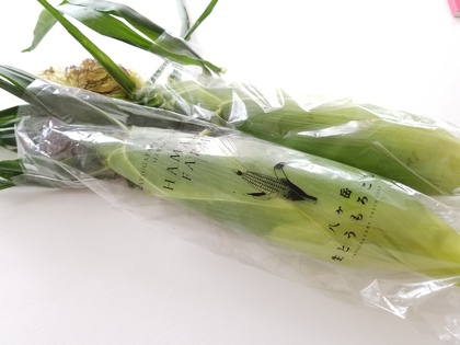 絶品！八ヶ岳 生とうもろこし